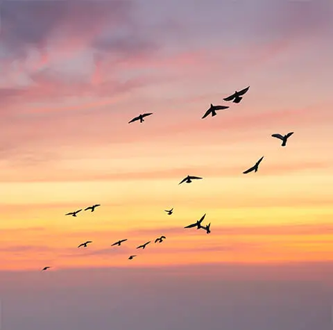 68.7% open spaces with sunrise deck and free-flowing ventilation