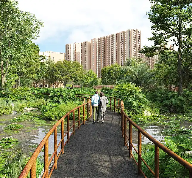 Experience the Bright Side of Life