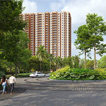 75% Open Spaces