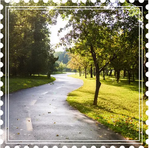 Scenic park pathway at Birla Punya, Pune. Enjoy lush green spaces and walking trails in Birla Estates' residential project.