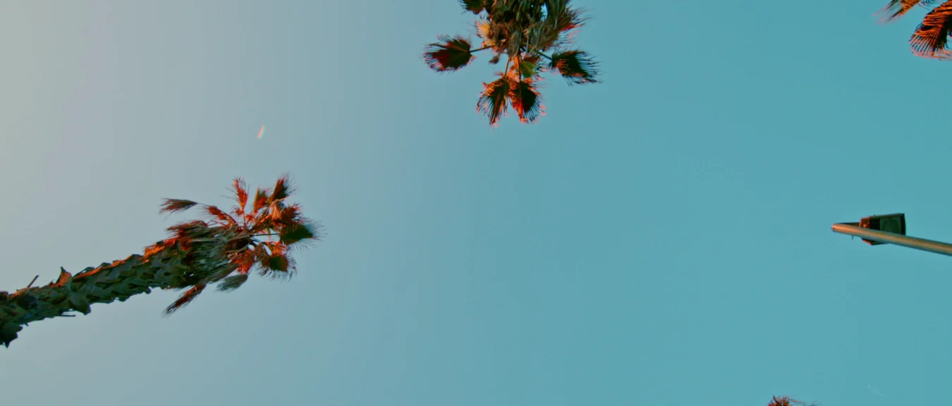 Birla Trimaya Banner